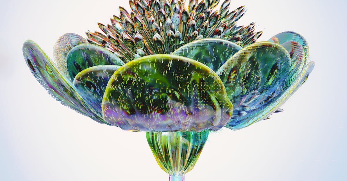 Mortgage Lead Generator